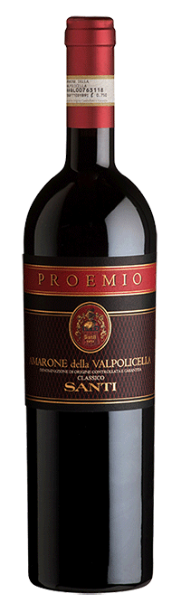 Santi Santi Amarone della Valpolicella Proemio 2013 750 ml