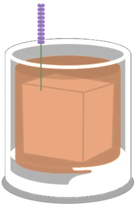 Negroni au Provence