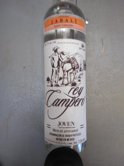 Rey Campero Jabali Joven