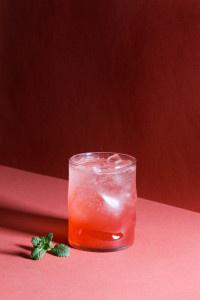 Avital Pumpkin Chai Mojito